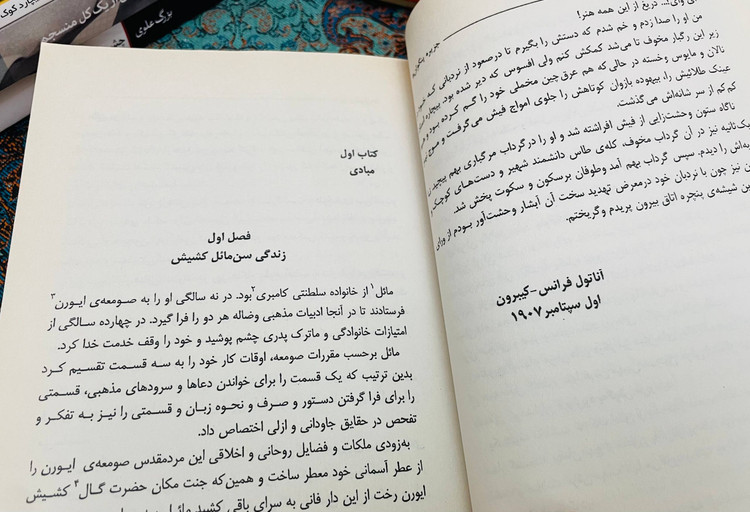 جزیره پنگوئن ها
