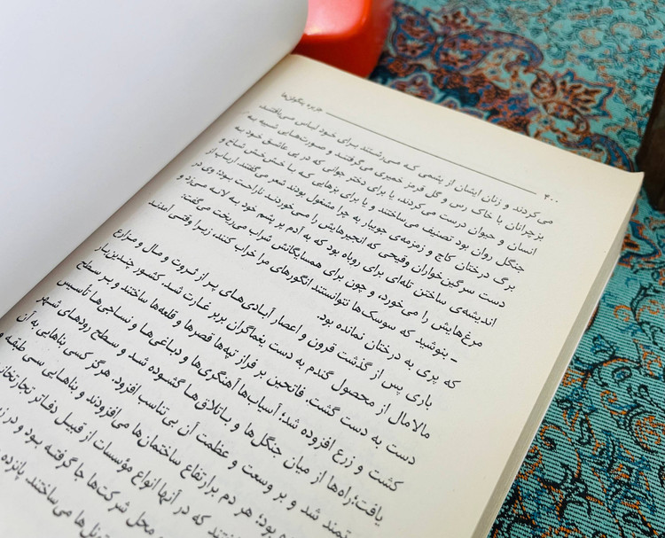 جزیره پنگوئن ها