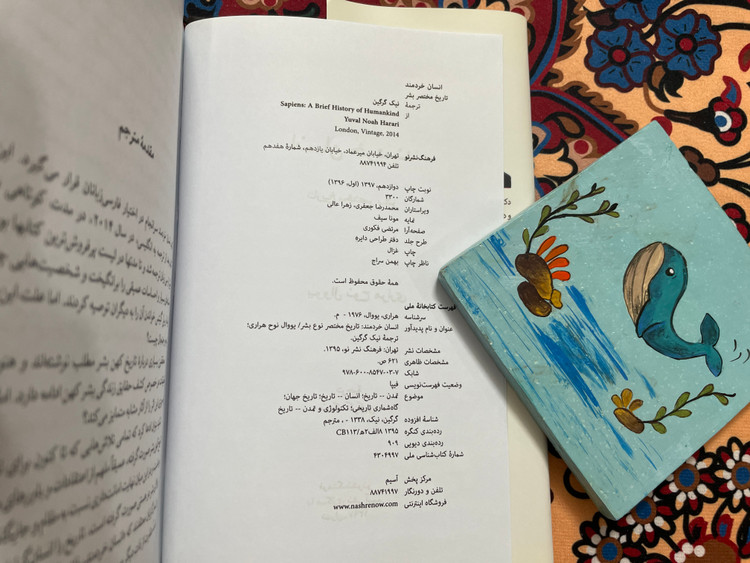 انسان خردمند