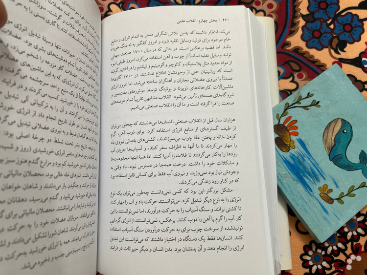 انسان خردمند