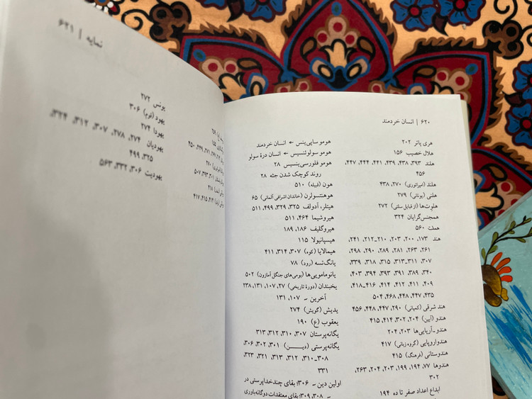 انسان خردمند