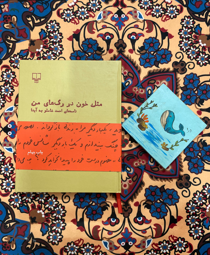 مثل خون در رگ های من / مجموعه نامه های احمد شاملو به آیدا
