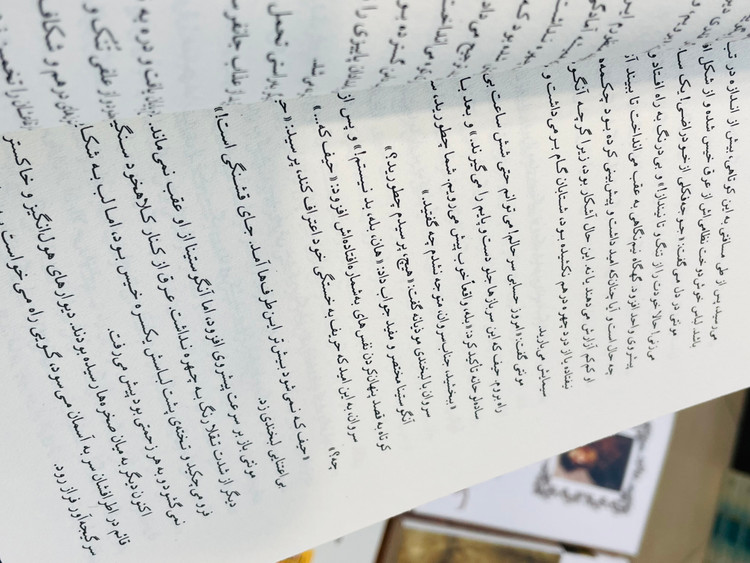 کتاب بیابان تاتارها، نوشته دینو بوتزاتی و ترجمه سروش حبیبی از انتشارات ماهی