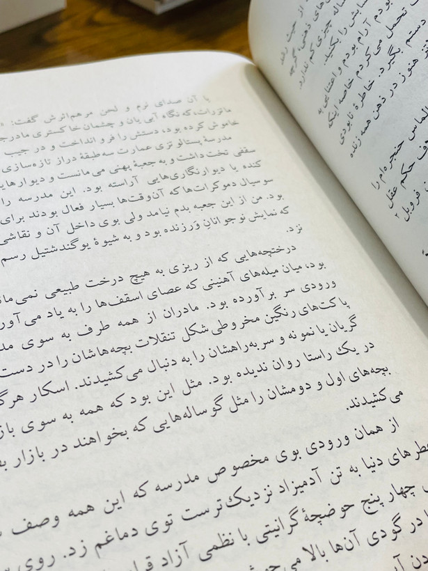 کتاب طبل حلبی، نوشته گونتر گراس با ترجمه سروش حبیبی و انتشارات نیلوفر